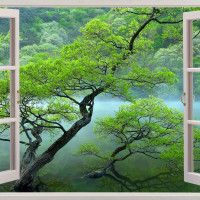 Eye catcher Forest Window Panoramic Wallpaper
