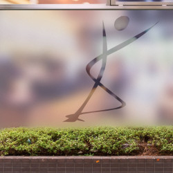 Physiotherapist Logo 2 Privacy Window film