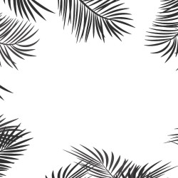 Black and white palm leaves Panoramic wallpaper