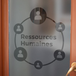 Human Resources Privacy Window film