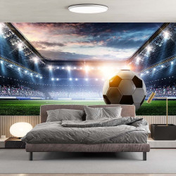 Football 2 Panoramic Wallpaper